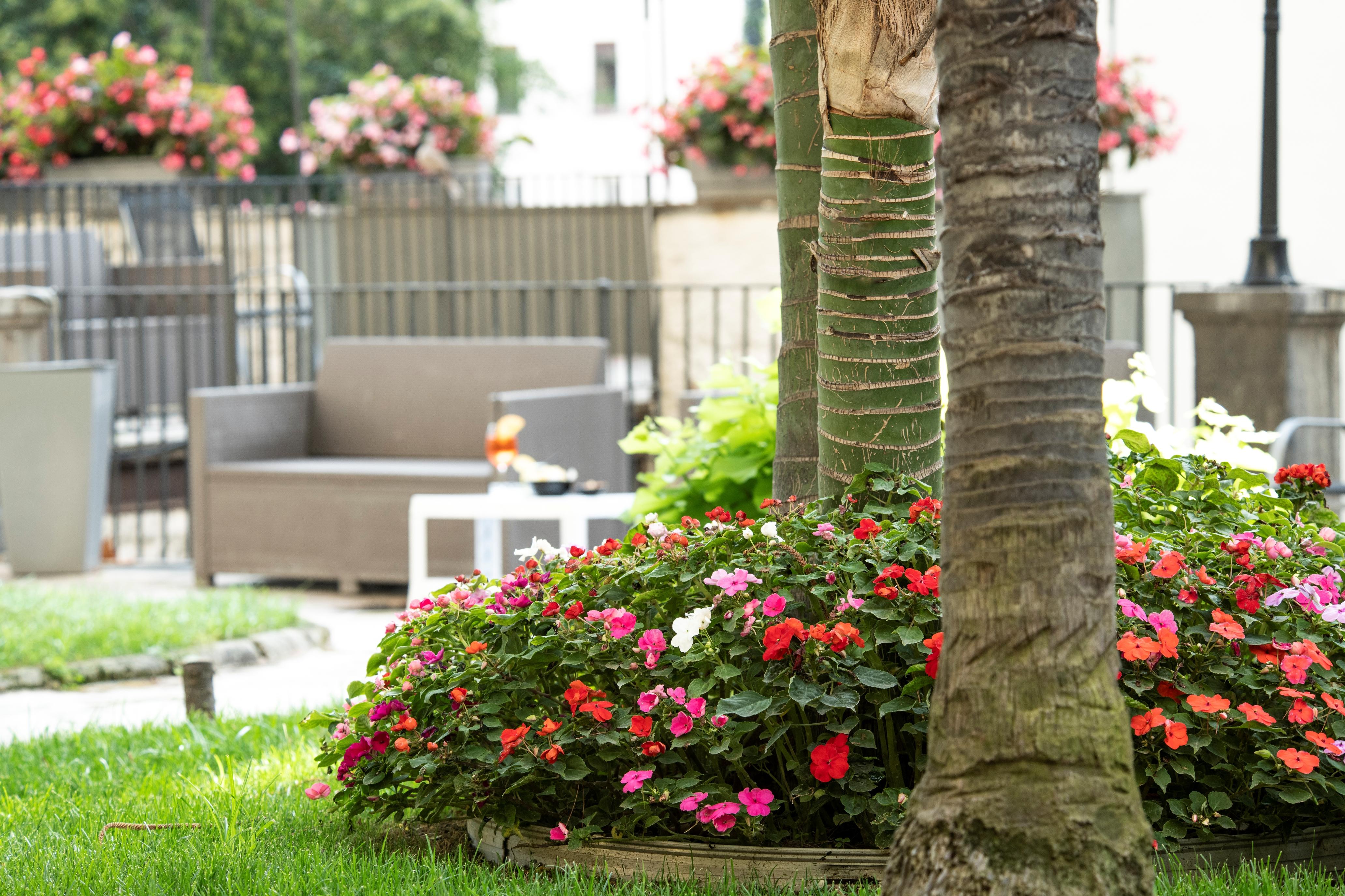 Villa Elisio Hotel & Spa Naples Exterior photo